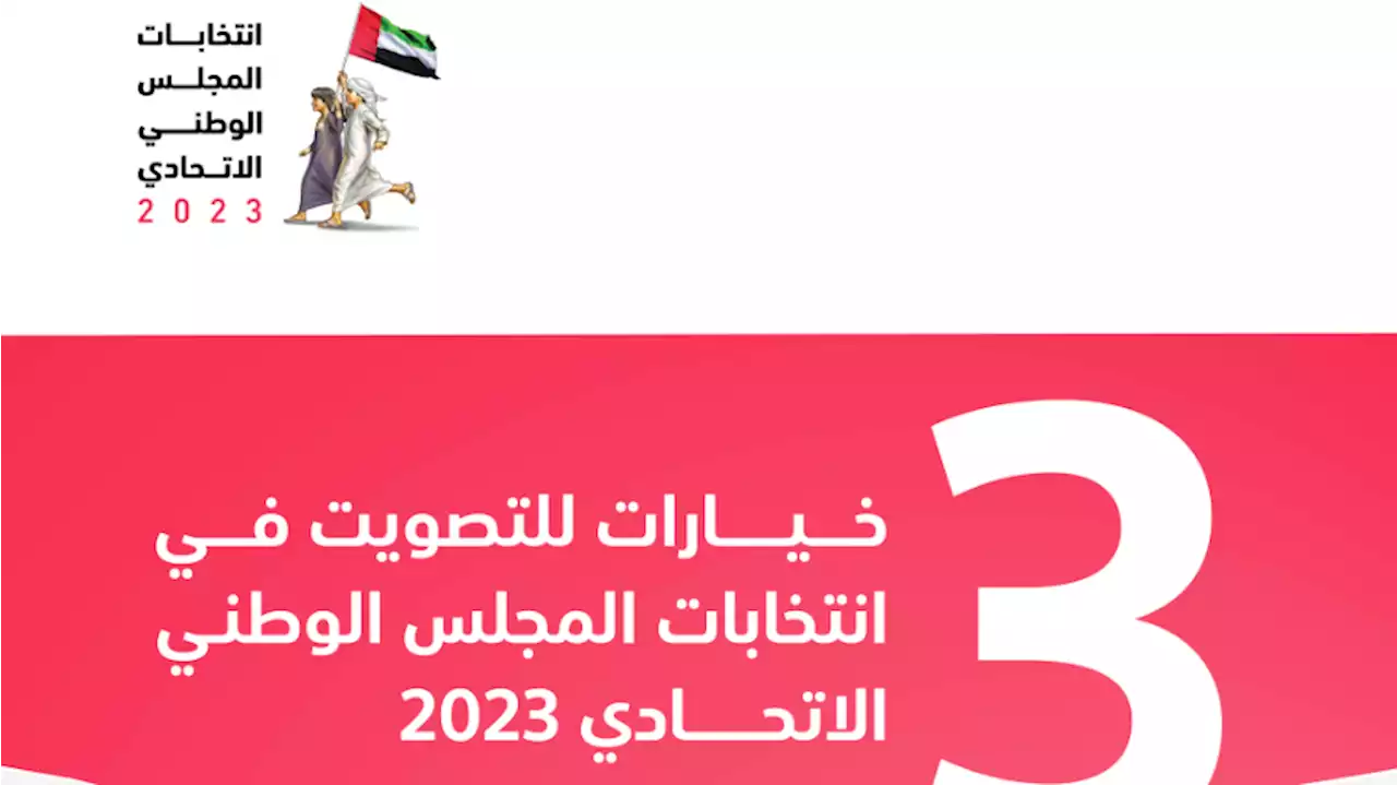 «الوطنية للانتخابات» تخصص تطبيقين وموقعاً إلكترونياً للتصويت عن بعد