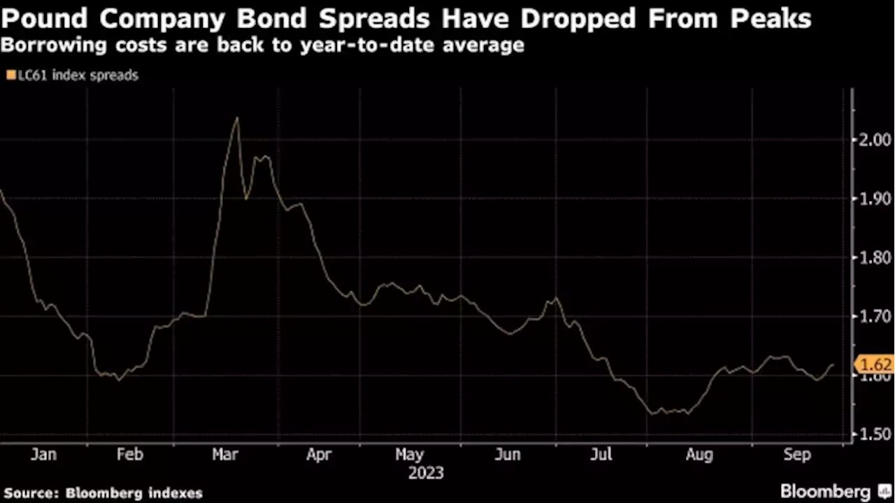 Pound Bond Market Gets Longest Deal in Months as BOE Hits Pause