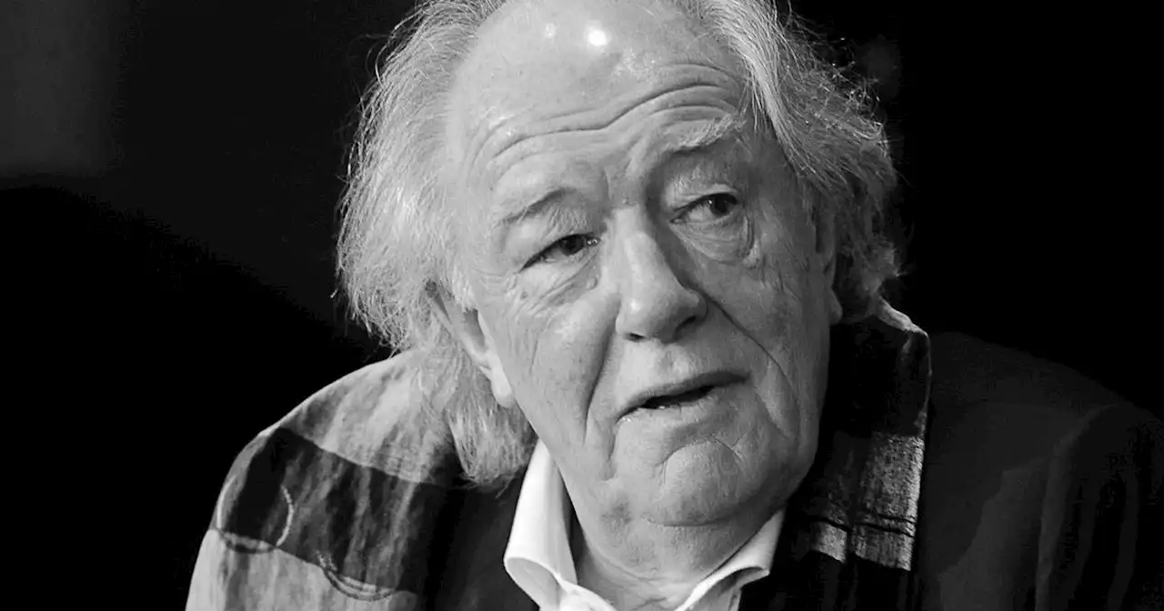 Michael Gambon : 'Harry Potter'-Darsteller im Alter von 82 Jahren verstorben