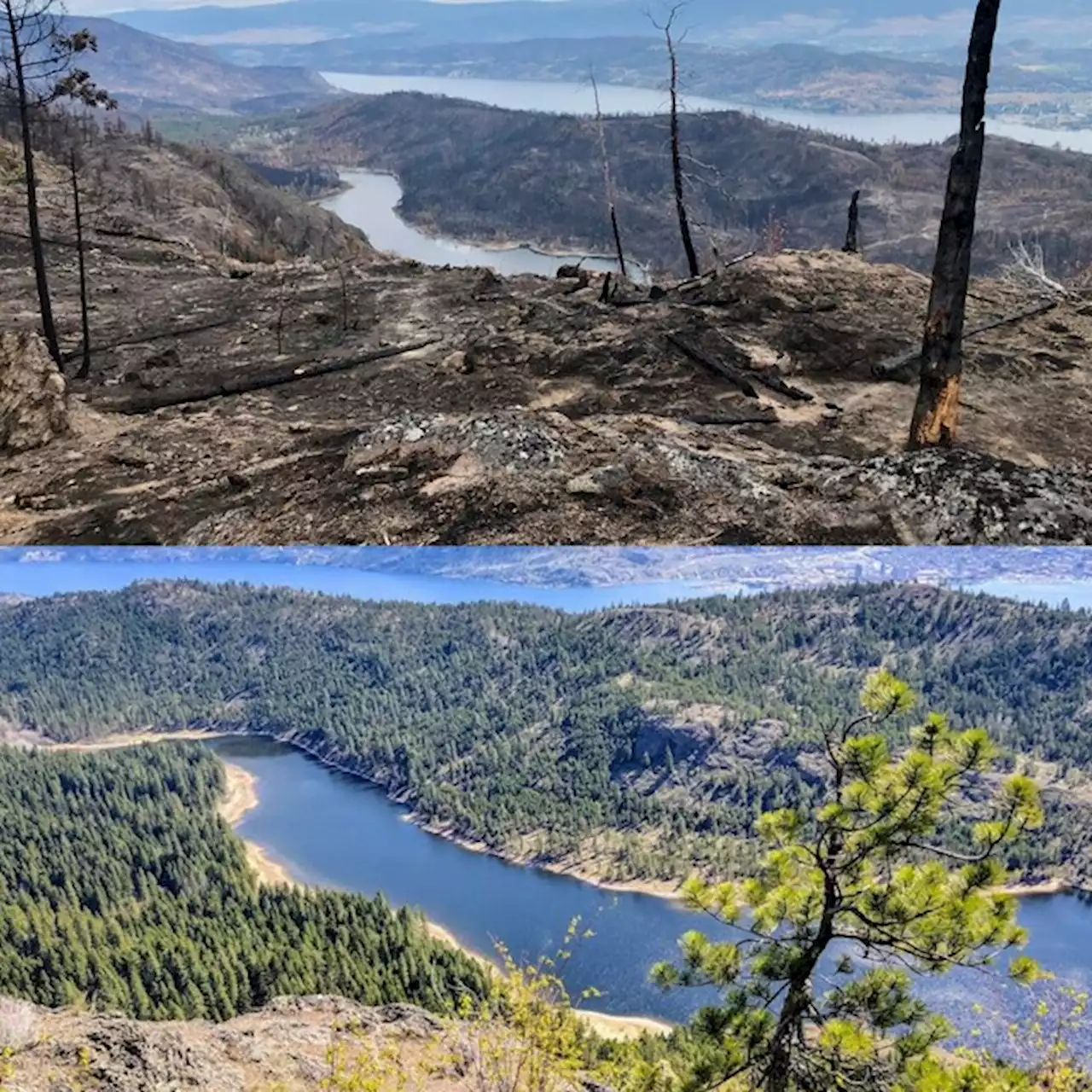 How will wildfire affect West Kelowna's drinking water?