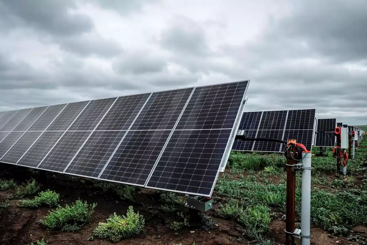 Poll suggests two-thirds of Albertans oppose pause on renewable energy approvals