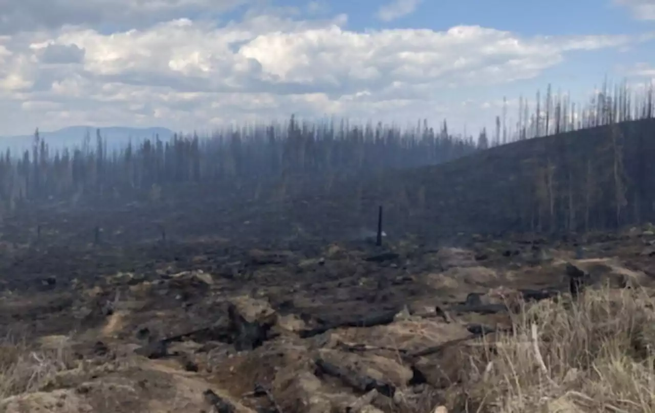RCMP say 'clear case of mass amnesia' in removal of firefighting equipment