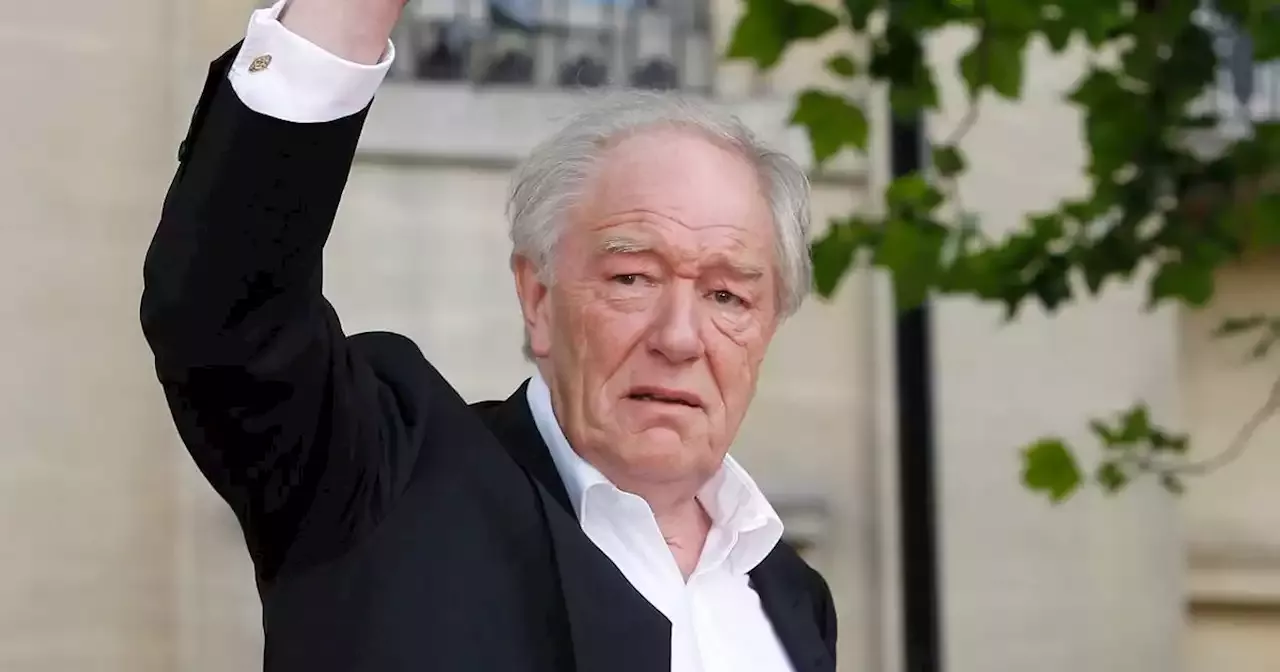 Michael Gambon, Actor Who Played Prof. Dumbledore In 6 ‘Harry Potter ...