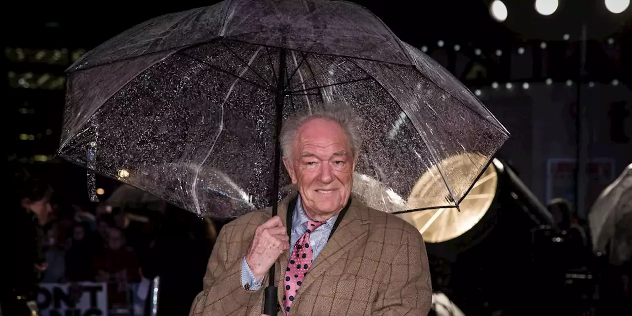 Actor Michael Gambon, who played Dumbledore in the later Harry Potter films, has died