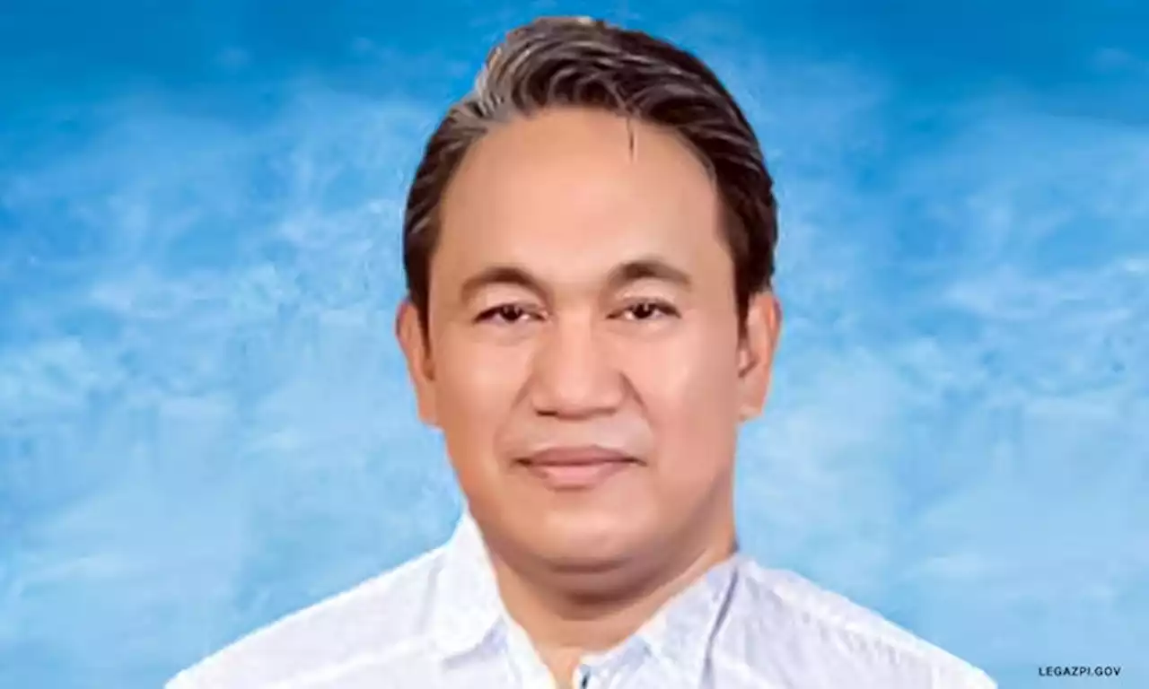 Comelec upholds disqualification of Legazpi councilor Barizo as candidate for 2022 polls