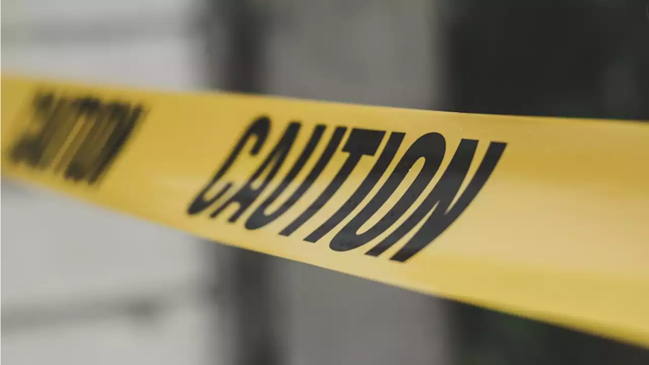 Man wanted in killing of Baltimore tech entrepreneur Pava LaPere is arrested, police say