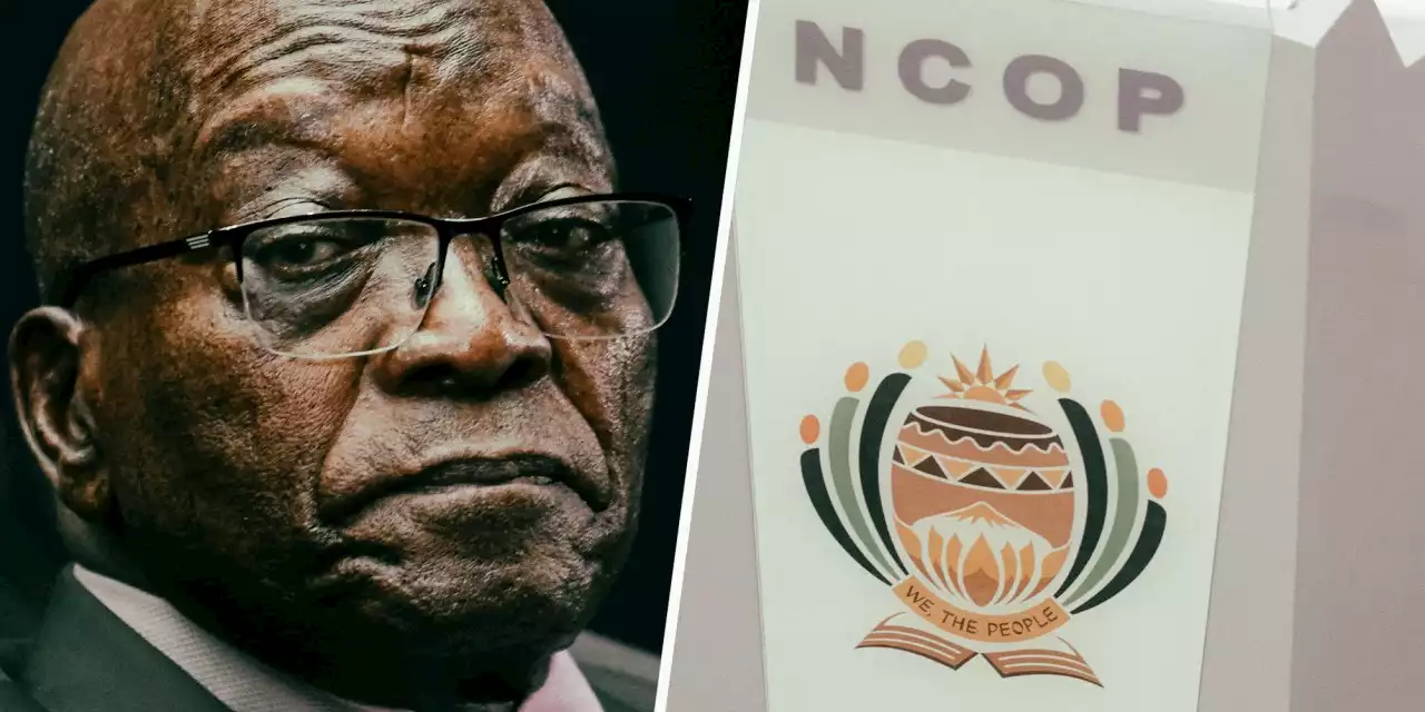 Jacob Zuma talks land rights at Ncop Expropriation Bill hearings