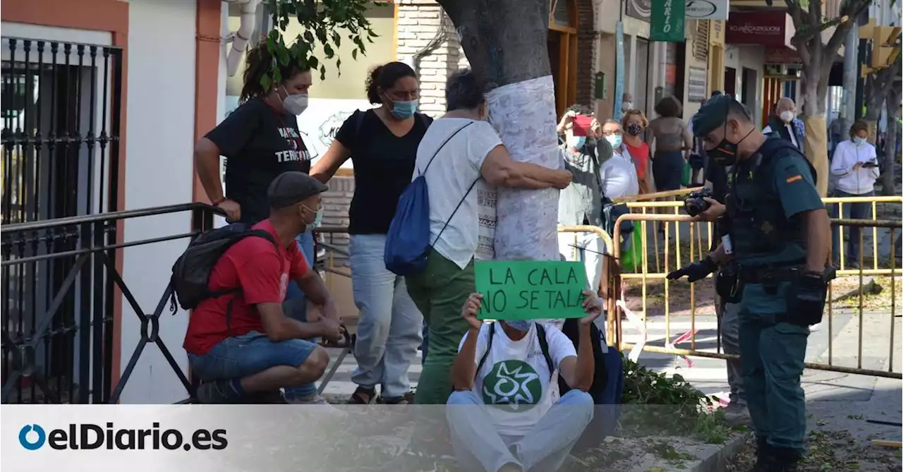 Vecinos que protestaban por la tala de árboles son desalojados del Pleno del Ayuntamiento de Madrid