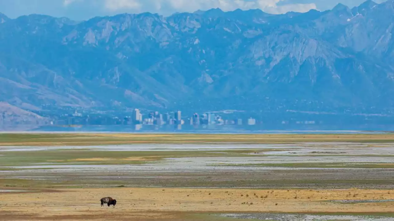 What Salt Lake City's mayoral candidates have to say about Great Salt Lake's future