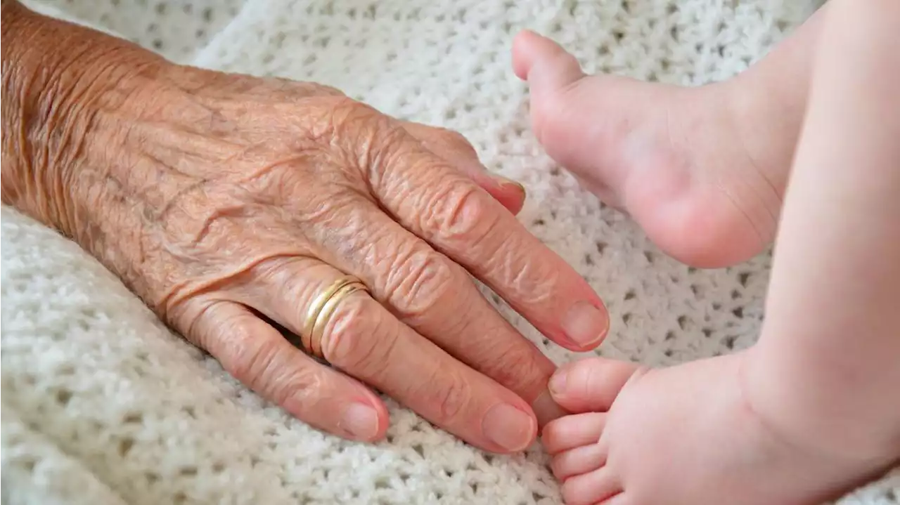 Plus d’un jeune sur deux voit « moins ses grands-parents qu’auparavant »