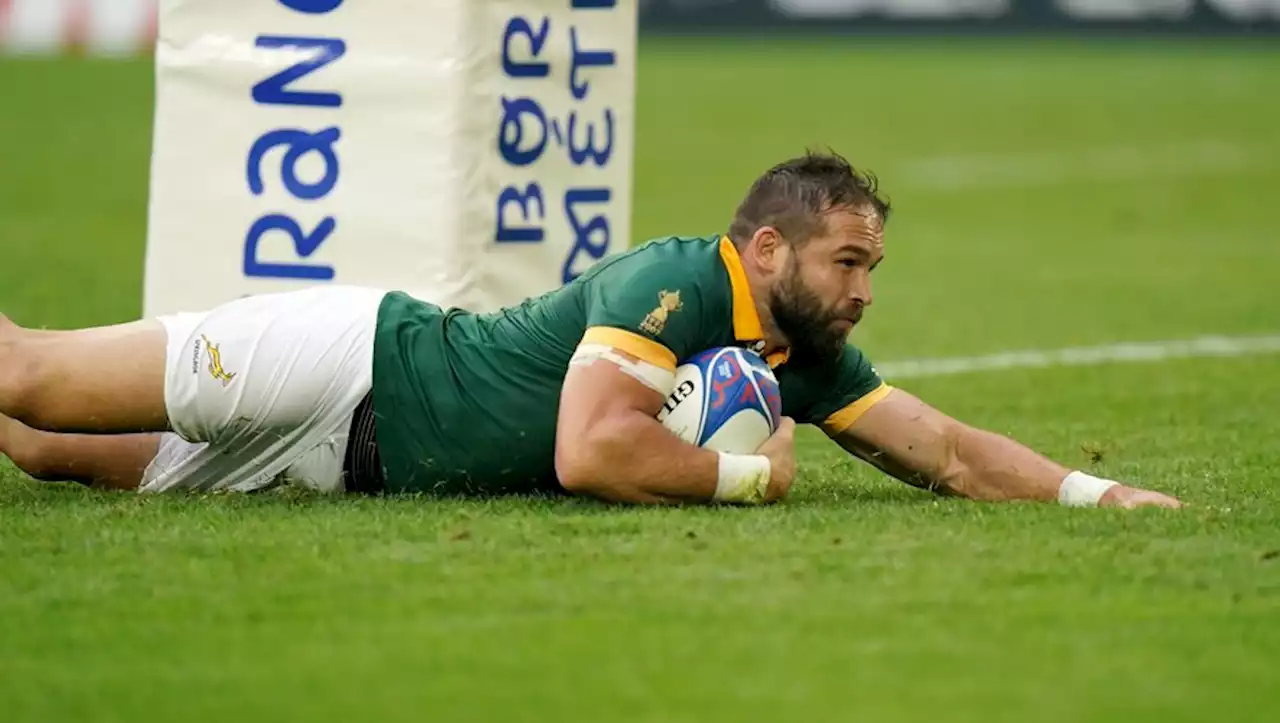 Coupe du monde de rugby : les Springboks avec une charnière '100% montpelliéraine' contre les Tonga