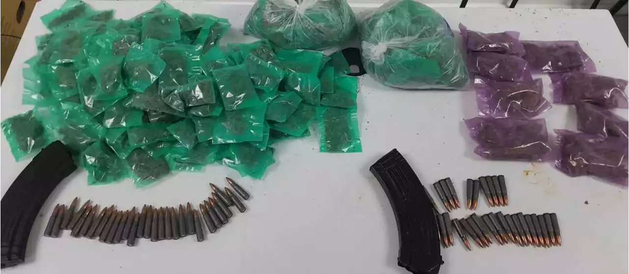 Caen en Sonora 4 personas en posesión de armas, cartuchos y droga