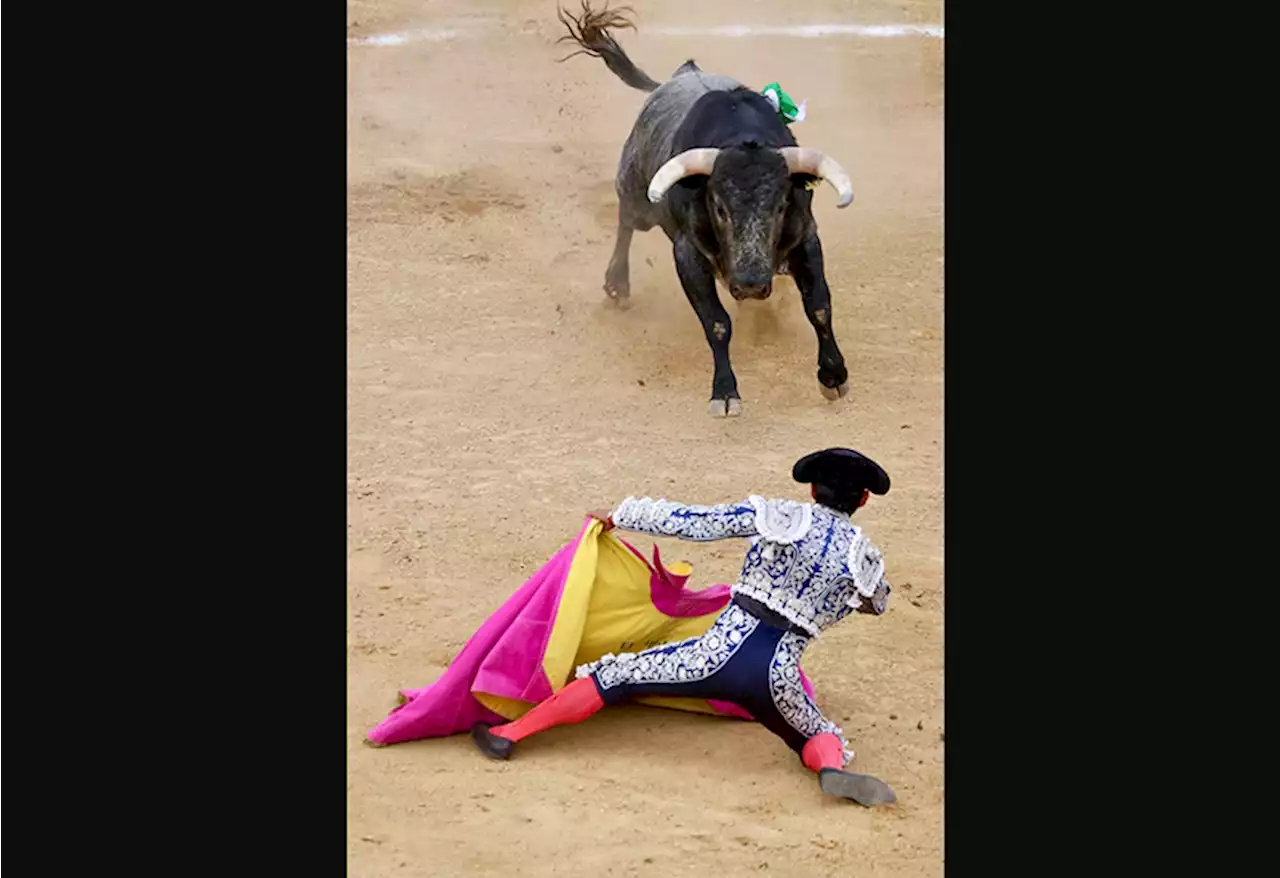 Plaza de Toros Nuevo Progreso: Listo el cartel de corridas 2023