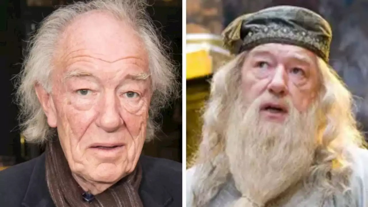 Late Harry Potter star Michael Gambon’s heartbreaking health battle