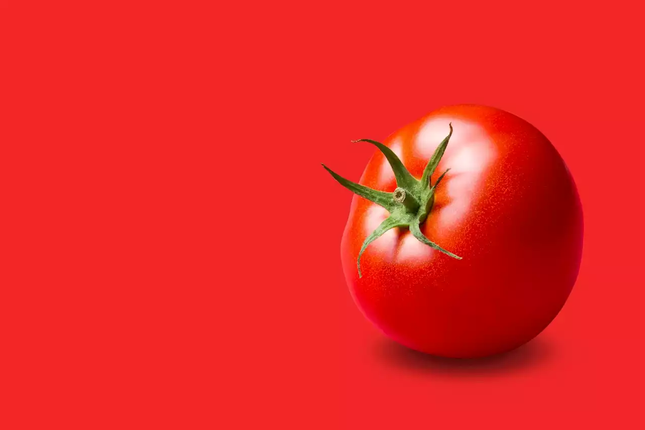 Supercharged tomatoes: Scientists engineer fruits packed with amino acids and flavonoids