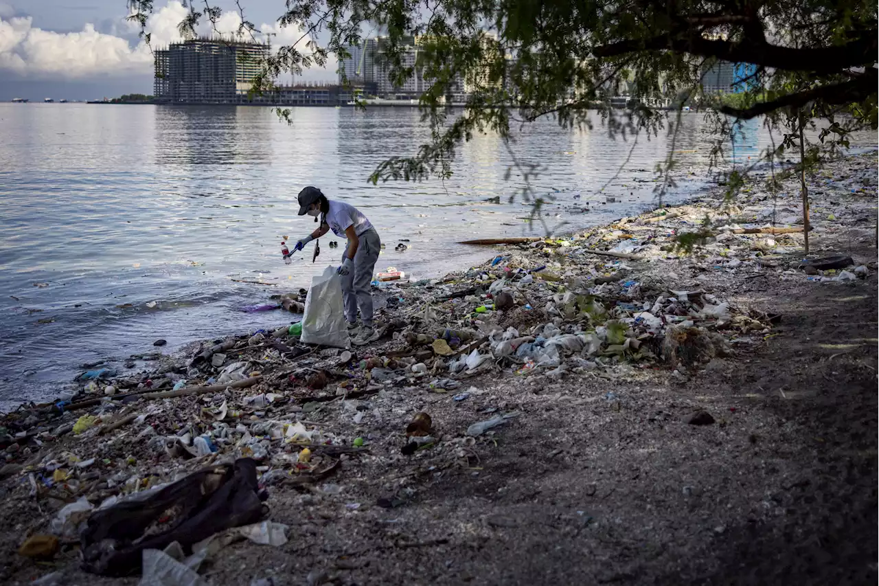 'Plastic rainfall' contaminating nearly everything people eat and drink