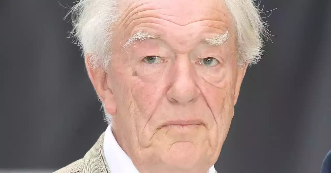 Harry Potter Actor Sir Michael Gambon Has Died, Aged 82