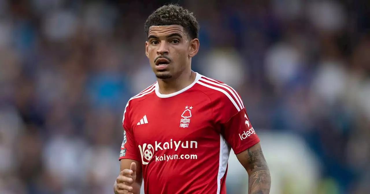 Steve Cooper will ignore calls for Morgan Gibbs-White to be dropped