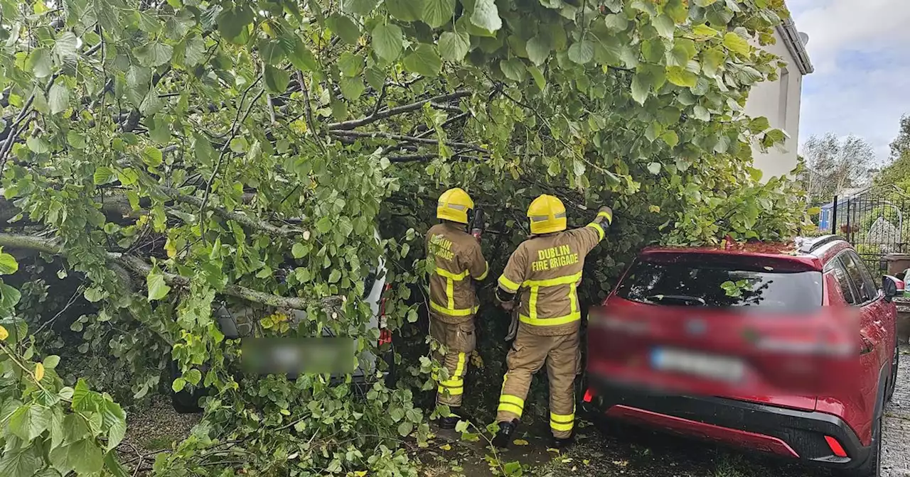 Trees down, power out and flooding as Storm Agnes hits 79mph