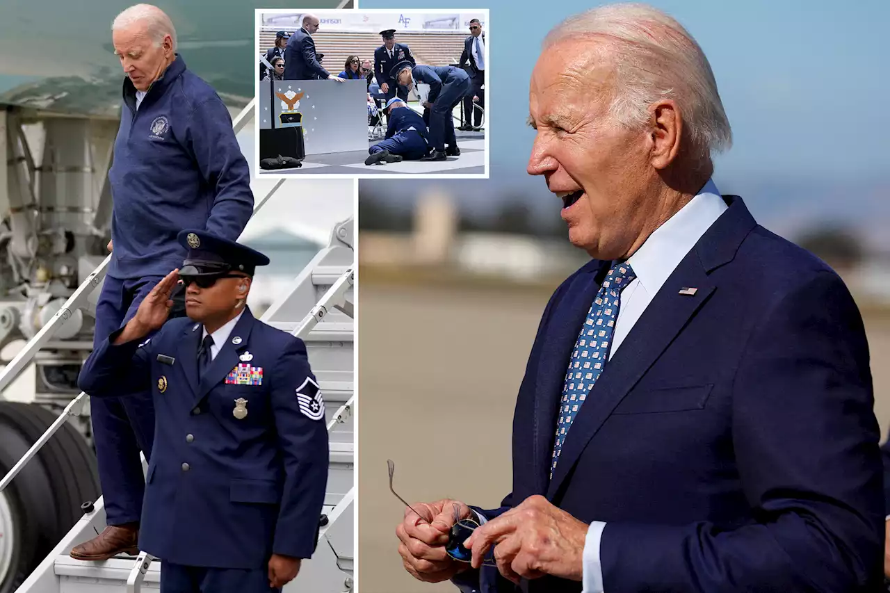 Biden bizarrely jokes about climbing large oak tree after Air Force One slip