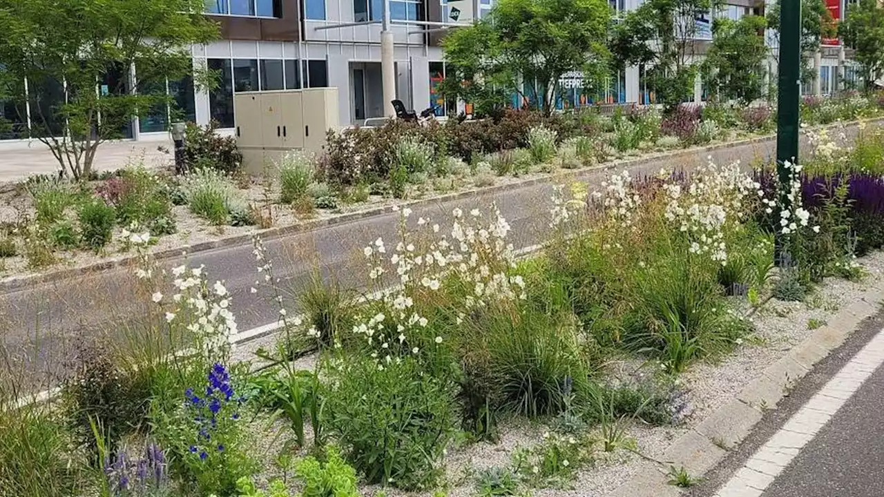 Wiener Neudorf staubt beim VCÖ-Mobilitätspreis ab