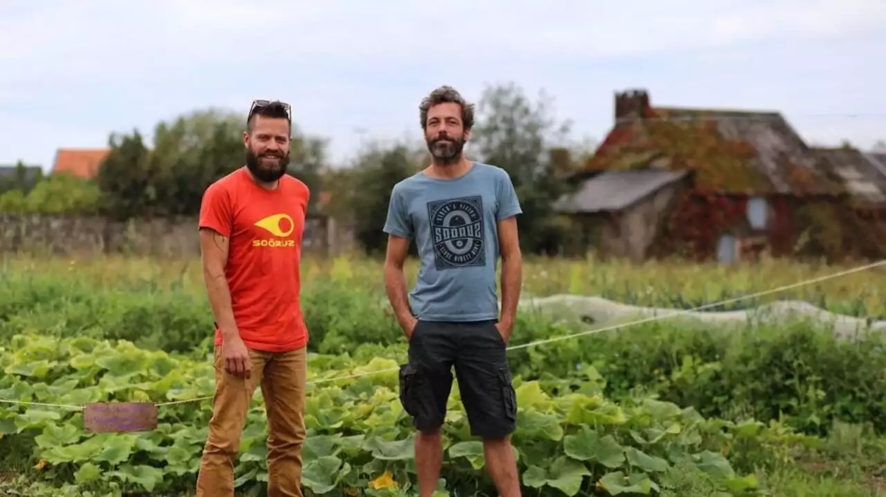 Malgré le vol de 400 kg de tomates, le maraîcher maintient sa fête à Nantes