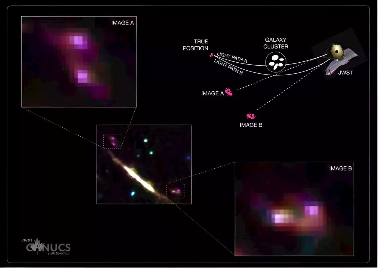 Growth of 'baby galaxies' witnessed with James Webb Space Telescope