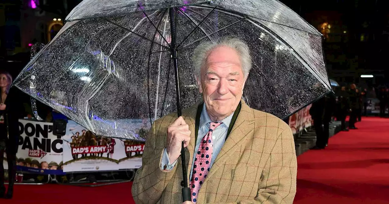 Tod mit 82 Jahren: Das sagt J.K. Rowling zum Tod von Dumbledore-Darsteller Michael Gambon