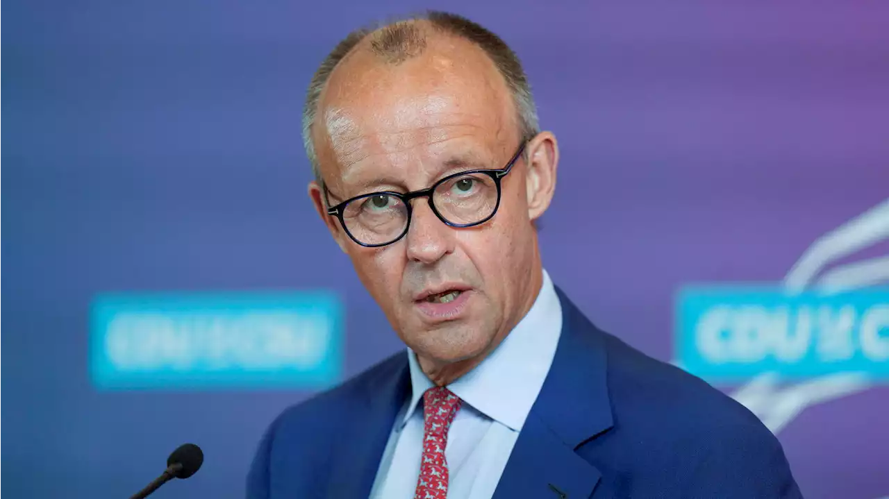 Friedrich Merz: „Die sitzen beim Arzt und lassen sich die Zähne neu machen“