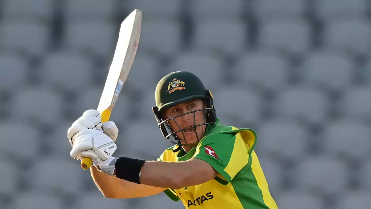 Cricket World Cup: Marnus Labuschagne named in Australia's World Cup squad as Ashton Agar left out