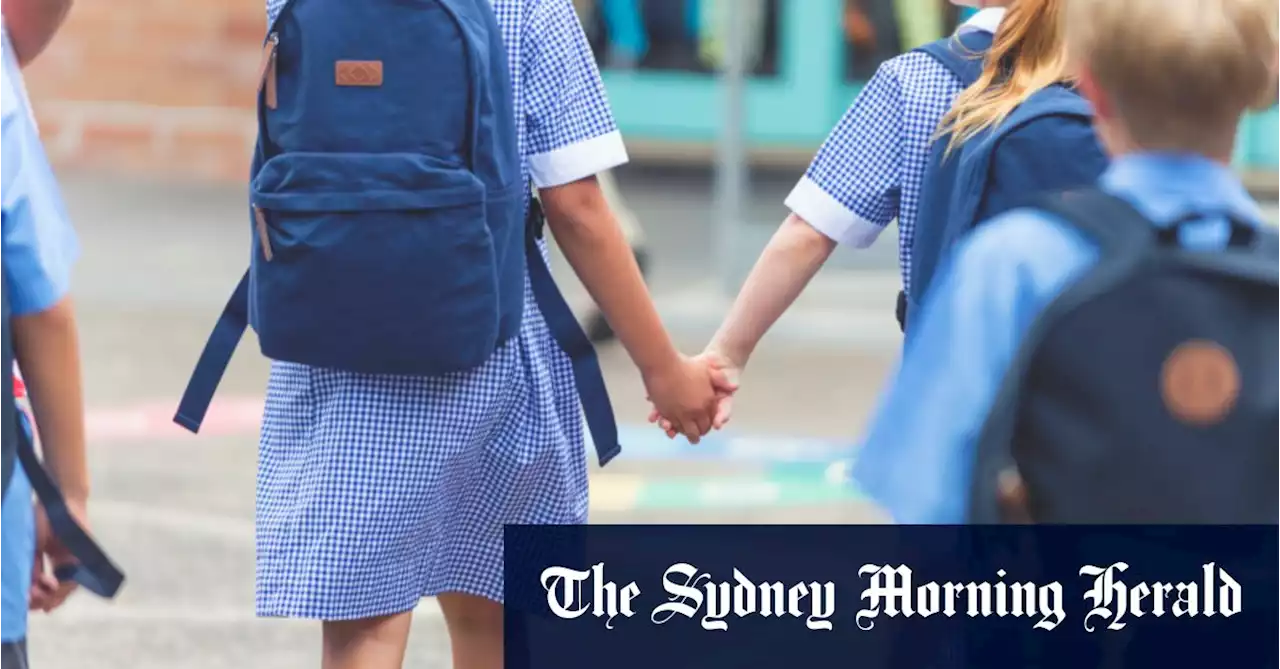 Disability royal commission split over future of special schools