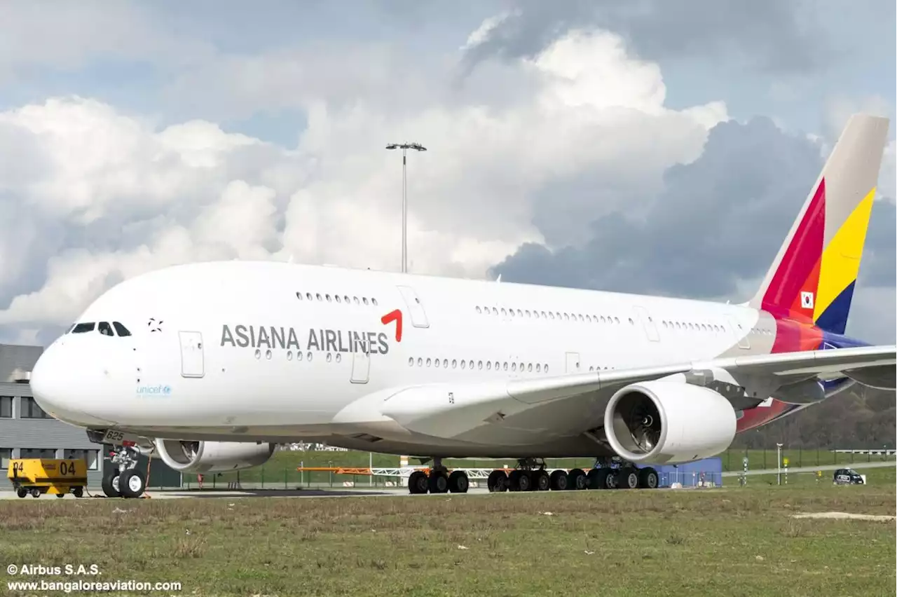 Asiana Airlines mishandled mid-air door-opening, S. Korean ministry rules