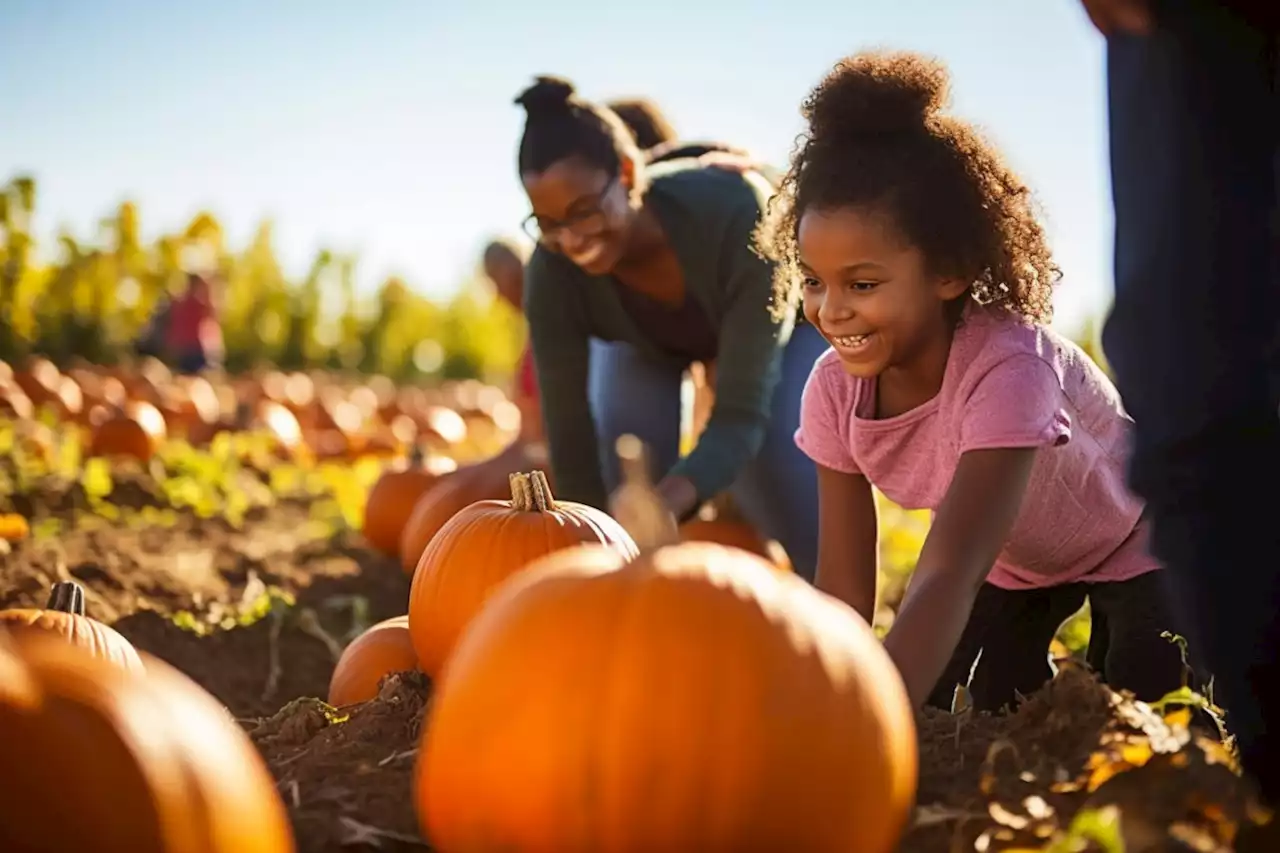 Spotlight: Must-visit fall destinations for families in Ontario via GO