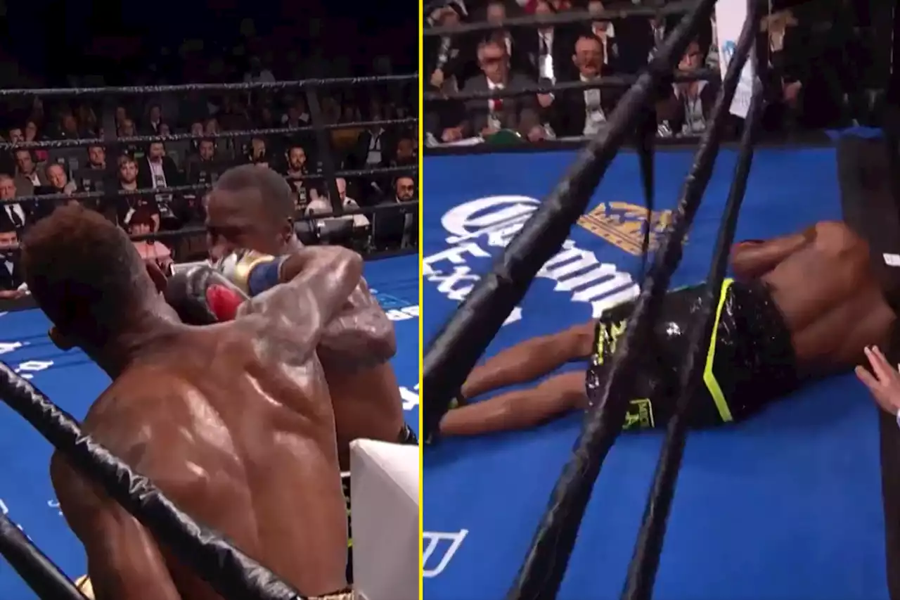 Jermell Charlo knocked opponent through the ropes with crushing one-punch KO