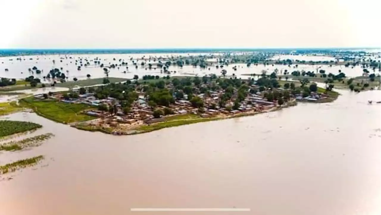 NiMet predicts 48-hour heavy rainfall, possible flooding in 24 states
