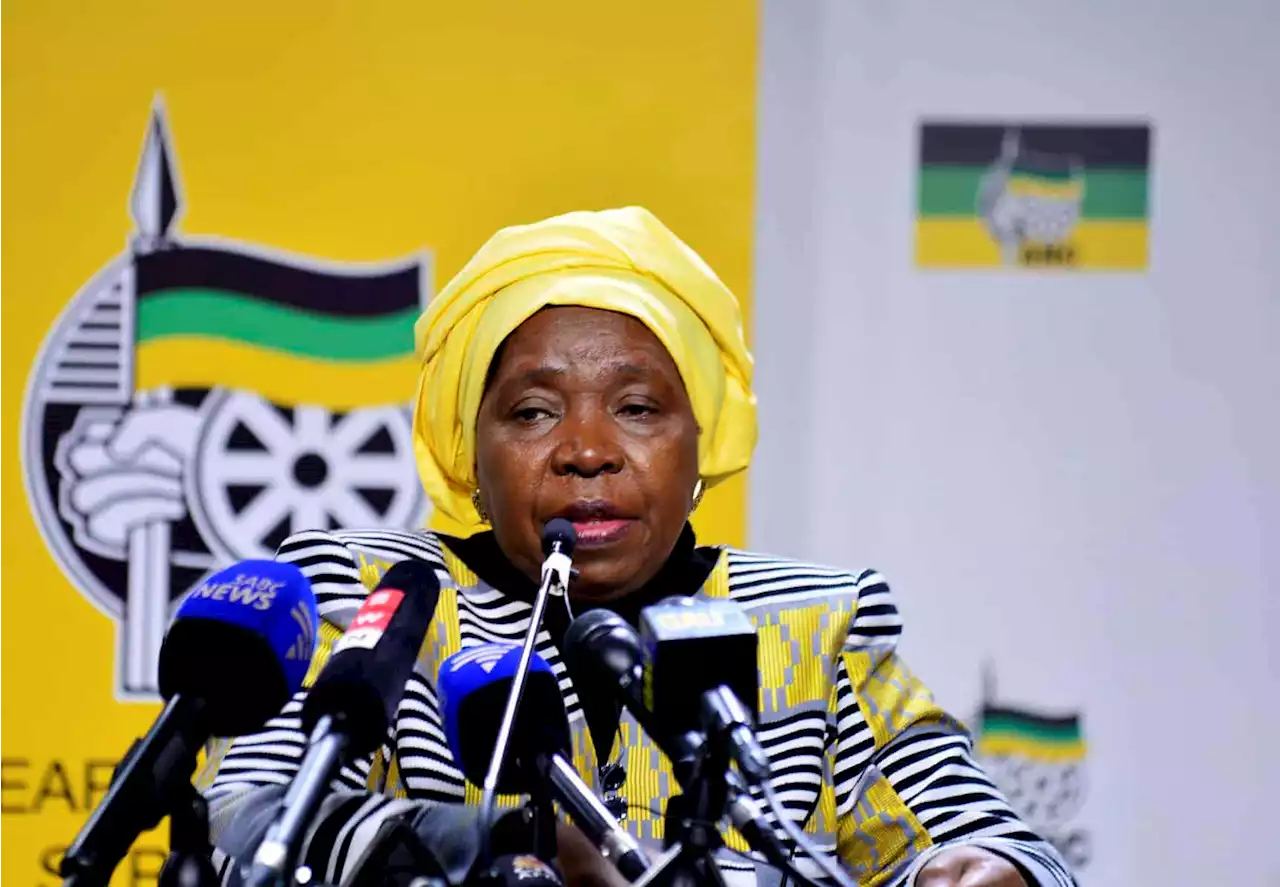 ANC in disarray: Dlamini-Zuma silent on Cabinet's future amidst tensions