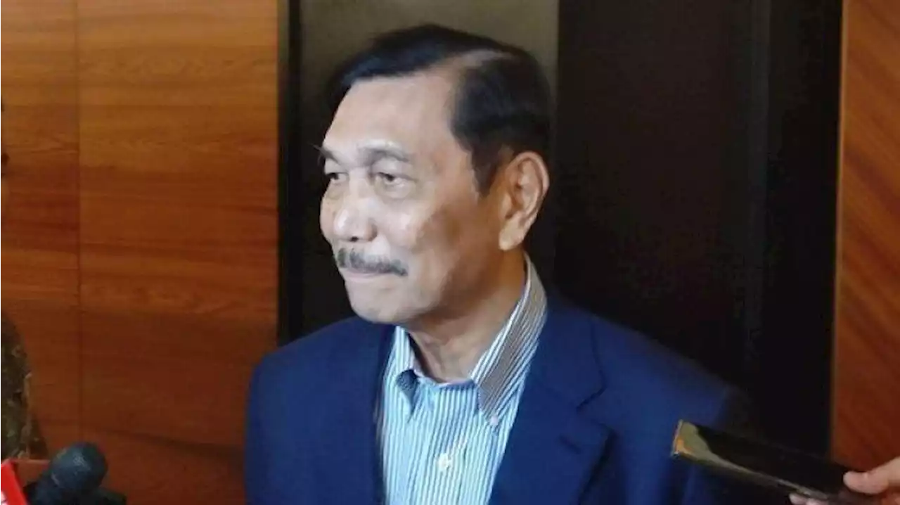 Menko Luhut soal Kasus Rempang: Sudah Ditangani secara Terarah dan Baik Sekali