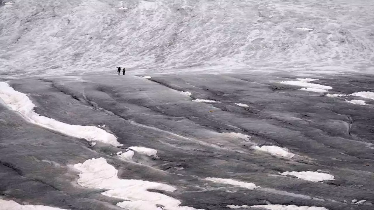 Swiss glaciers lose 10% volume in two years as climate crisis grows