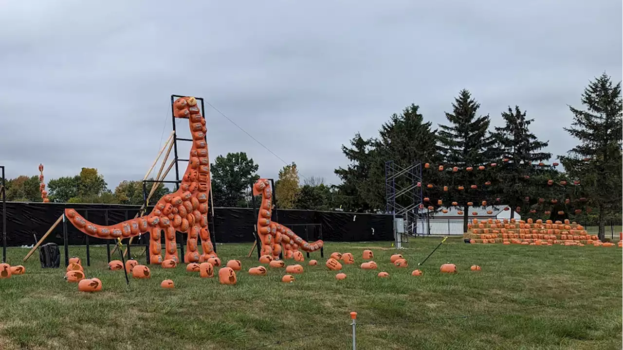 Jack O'Lantern World supports breast cancer awareness in Columbus