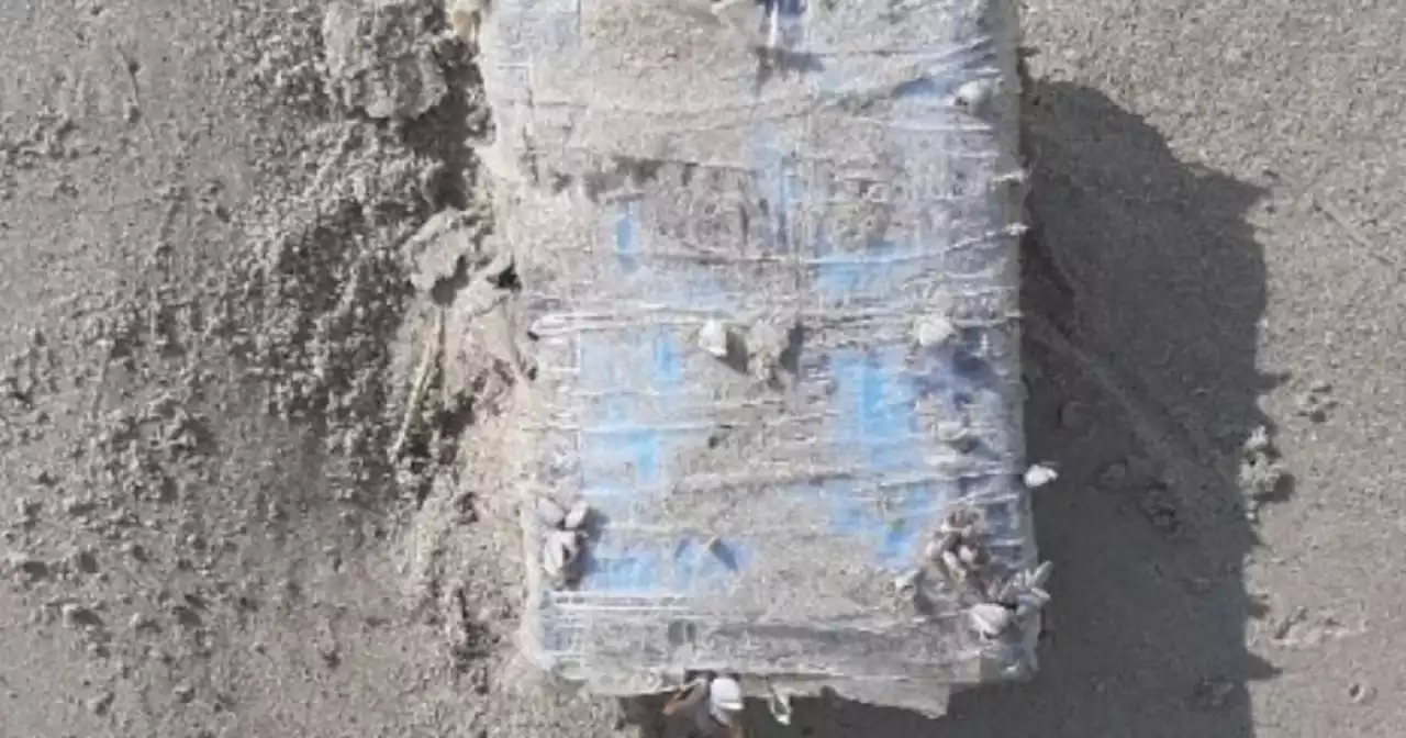 Bricks of cocaine wash ashore on a Texas beach