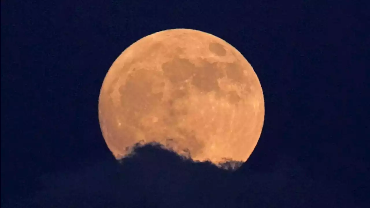 Last supermoon of 2023 set to light up Australian skies