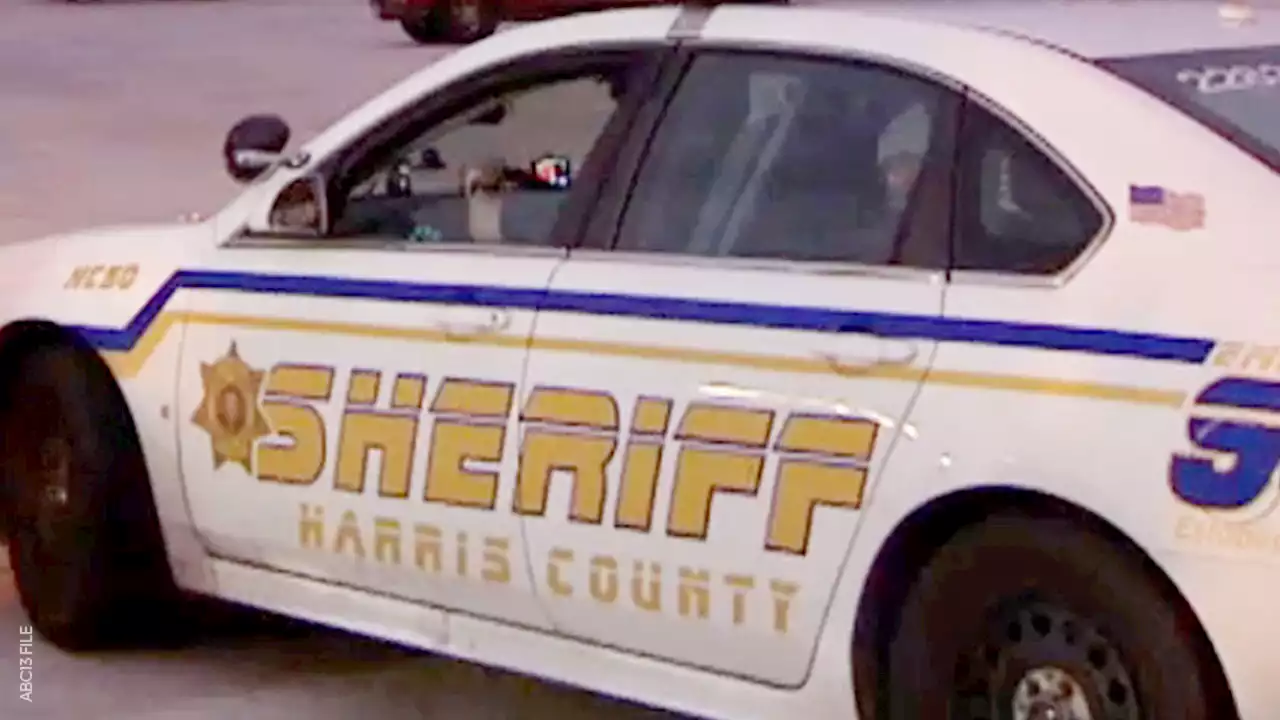 5-year-old wanders off from west Harris County home, prompting search, sheriff says