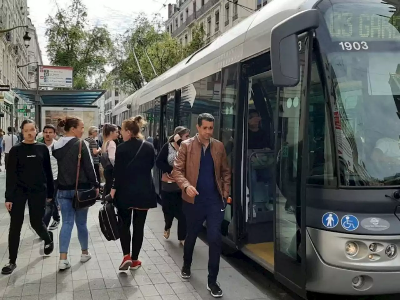 INFO ACTU LYON. Des punaises de lit dans des bus TCL ? Une entreprise va intervenir