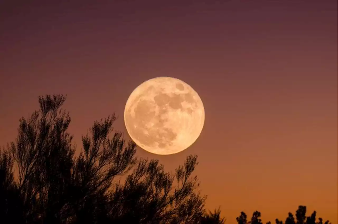 L'ultima Superluna del 2023 dà spettacolo, è la quarta dell'anno - Spazio e Astronomia