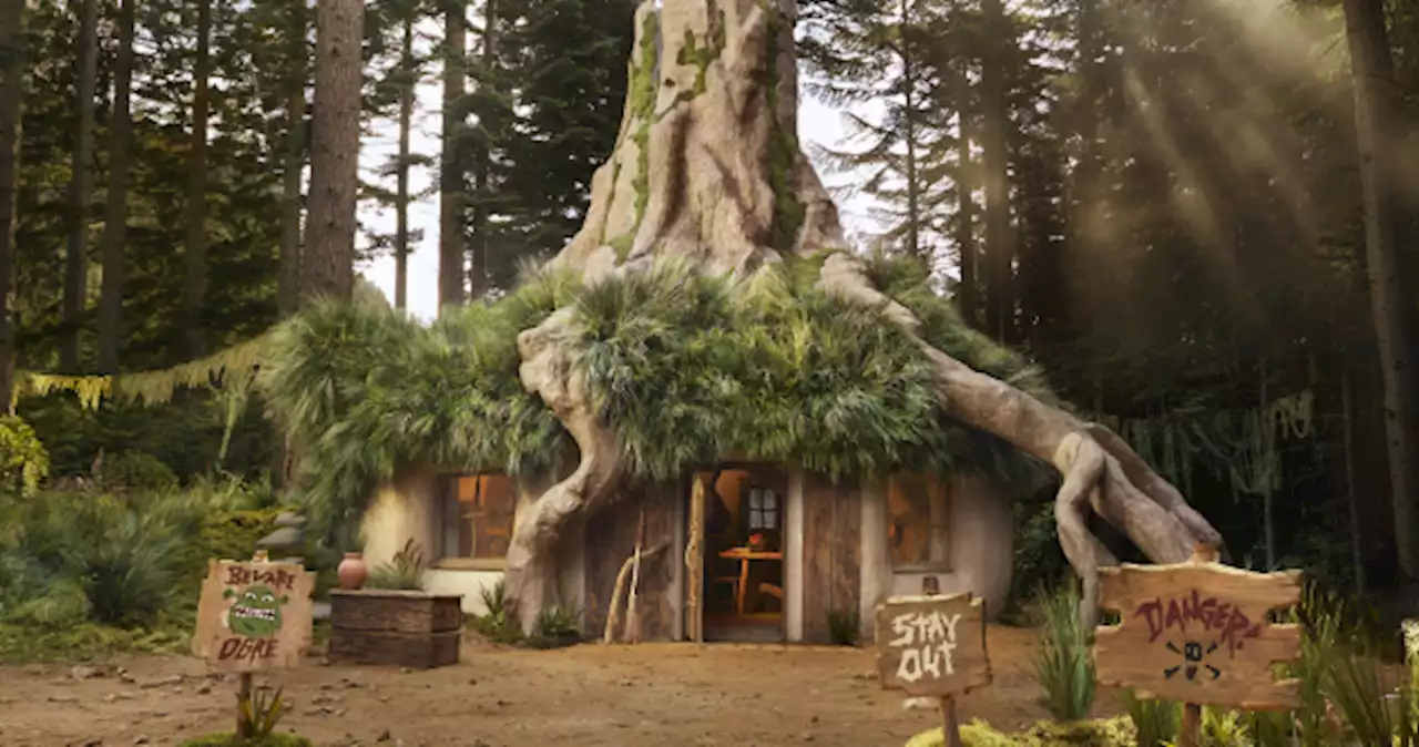 Live it up like Shrek: Now you can rent his swamp on Airbnb for free