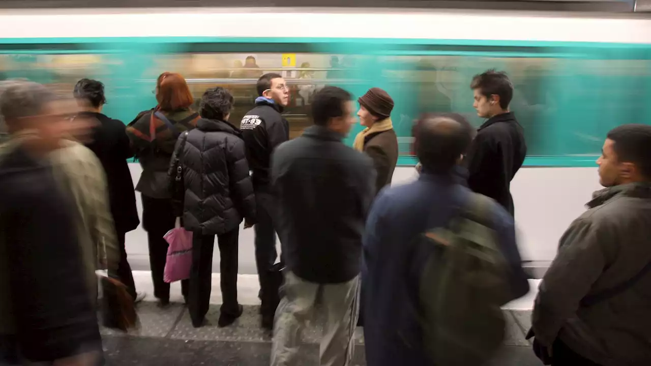 Punaises de lit: aucun cas avéré sur la ligne 8 du métro parisien après expertise