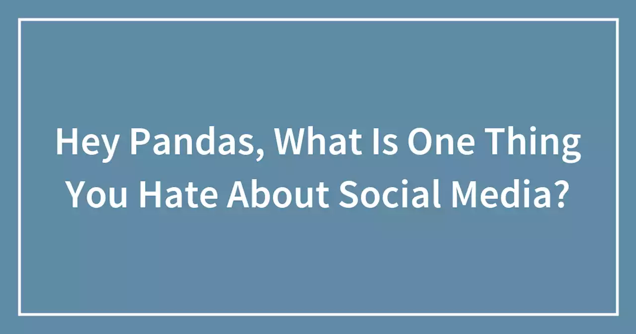 Hey Pandas, What Is One Thing You Hate About Social Media?