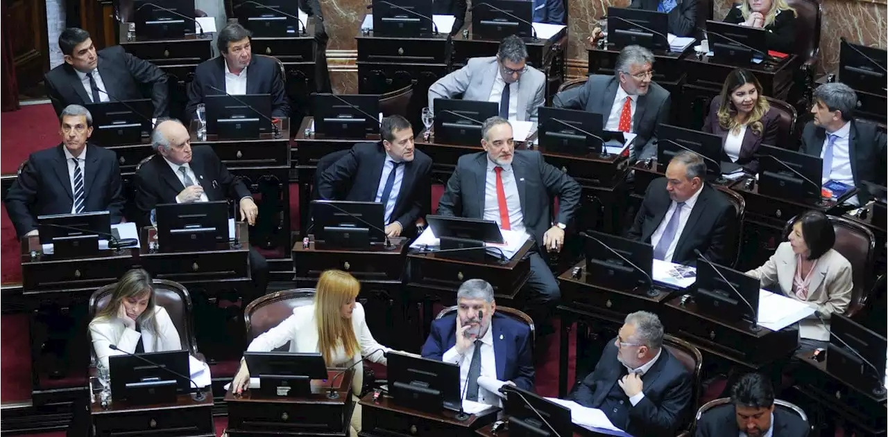 Ley de alquileres: el Senado aprobó con cambios la ley y ahora vuelve a Diputados