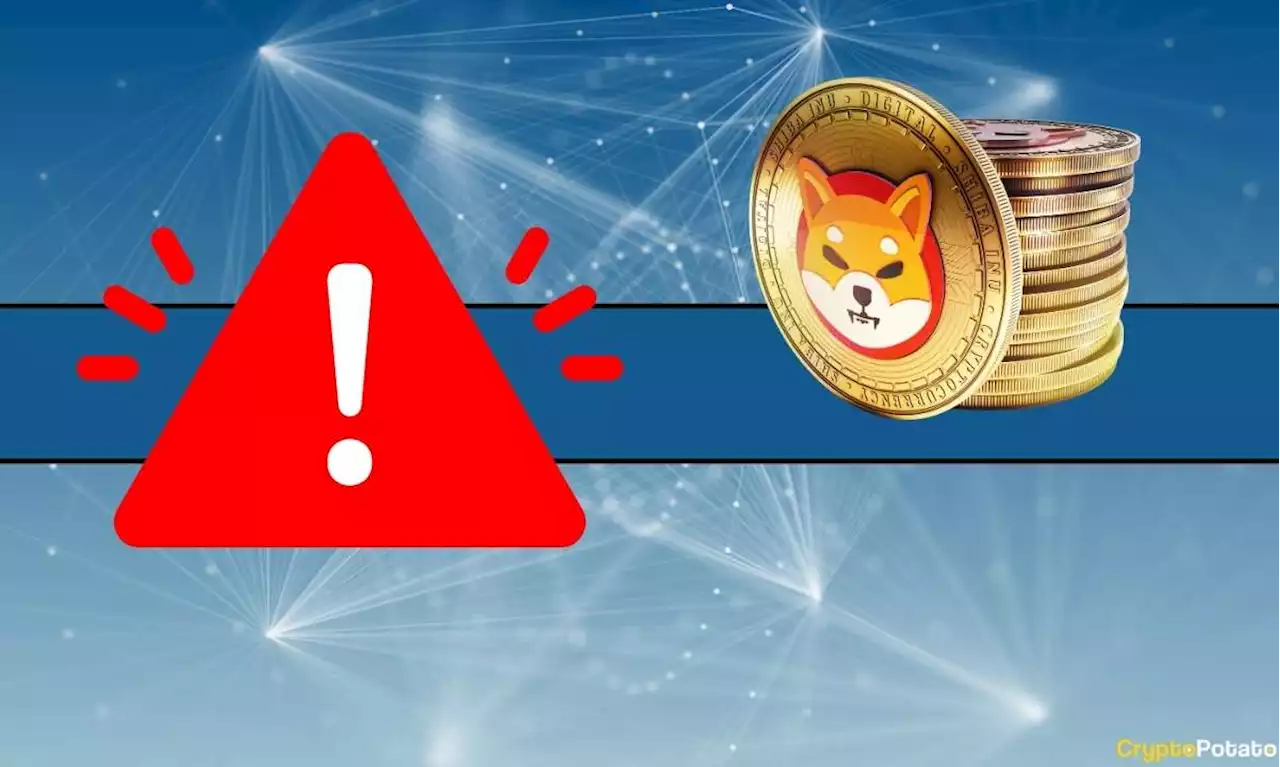 SHIB Official Issues a Warning on Suspicious Partnerships Involving Shiba Inu