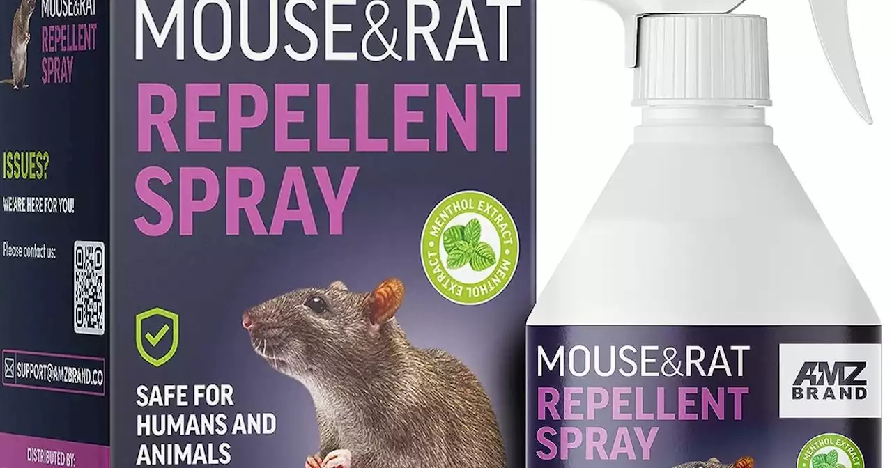 Amazon shoppers that use spray to banish rats and mice 'haven't seen one since'